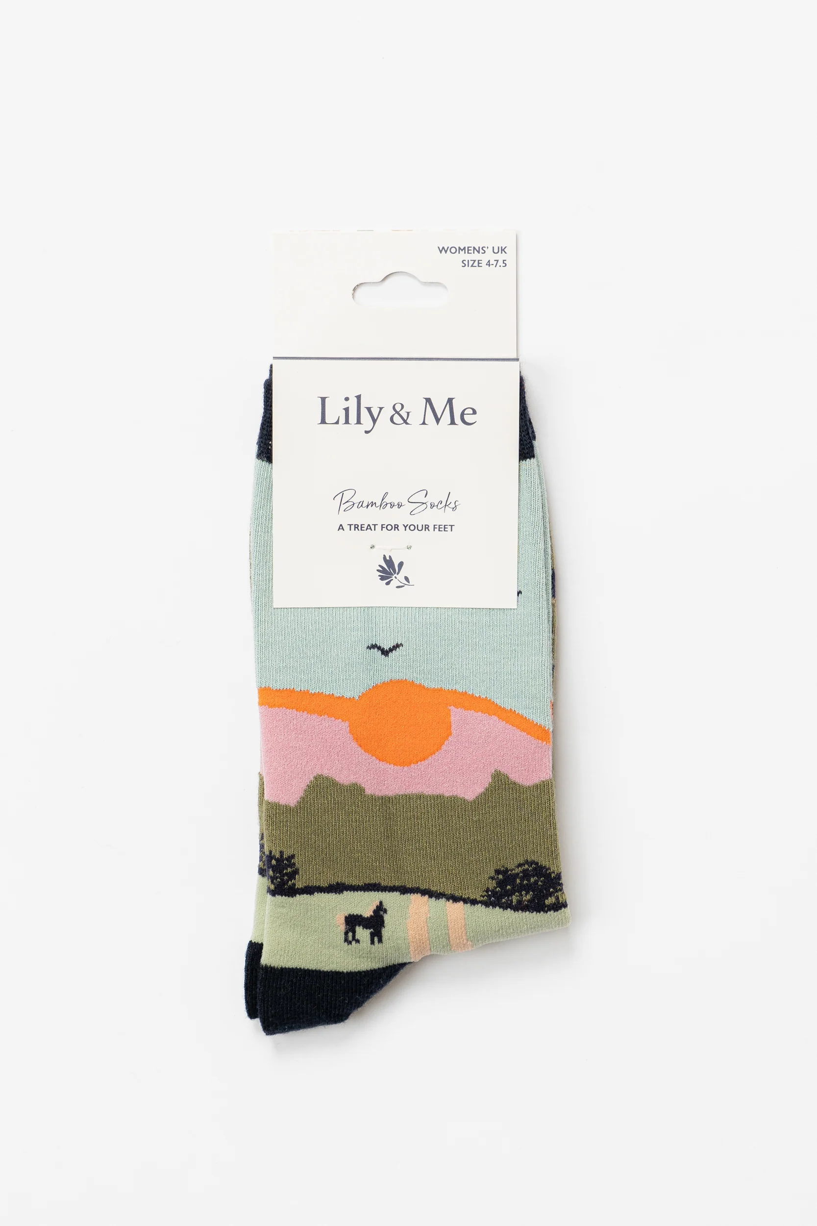 Derek The Dog Bamboo Socks And Decoration Giftbox - Image 2
